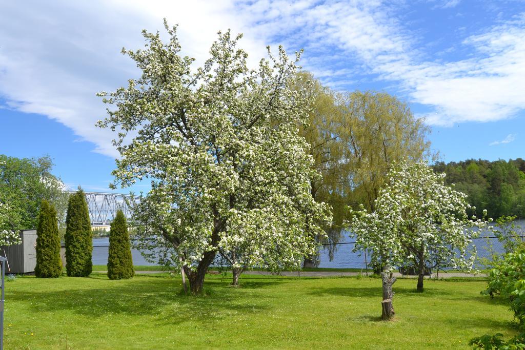 Lossiranta Lodge ซาวอนลินนา ภายนอก รูปภาพ